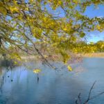 (自然音) 自然の音でリラックスする5分間  ※瞑想 ※安眠 ※読書 ※勉強 ※作業