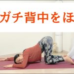 ガチガチ背中まわりをほぐす5分ヨガストレッチ｜肩こり・腰痛予防にも背中をゆるめる