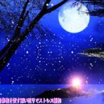 【528Hz・睡眠導入・癒し】ソルフェジオ周波数と瞑想音楽に癒やされながら壊れたDNA、細胞を修復しながら休息睡眠で深い眠りへ… あらゆる病気を治す