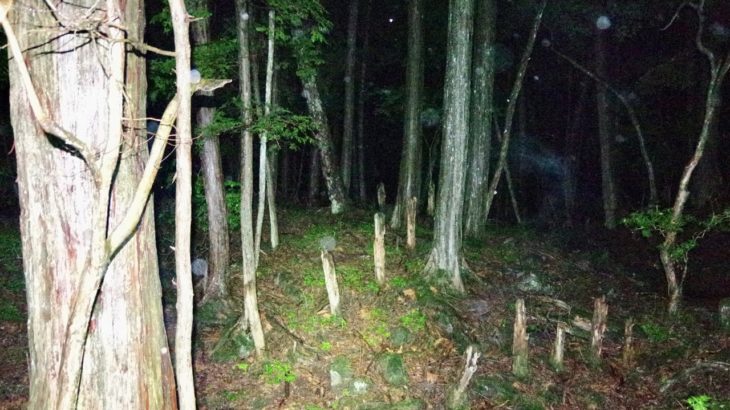 【538日目】スピリチュアル…マサヲの部屋！ブロック解除 / 隔離生活6日目