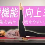 【5Steps】内臓機能を整えるヨガ 基礎代謝を高め痩せやすいカラダに