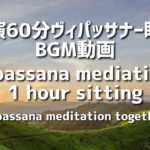 【実演60分マインドフルネス瞑想動画BGM】Vipassana mediation 1 hour sitting(Vipassana meditation together)