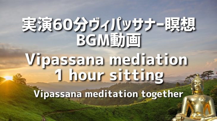 【実演60分マインドフルネス瞑想動画BGM】Vipassana mediation 1 hour sitting(Vipassana meditation together)