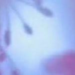 瞑想・癒し・心身調整【639Hz/936Hz/396Hz】感情解放・心身調和・高次元の意識と繋がる