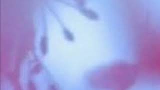 瞑想・癒し・心身調整【639Hz/936Hz/396Hz】感情解放・心身調和・高次元の意識と繋がる