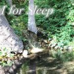 【睡眠用BGM】小川の音に耳を澄まして聴こえる癒しの音楽｜ゆっくりとおやすみください