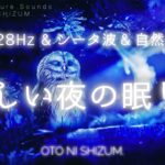 【睡眠用BGM・528Hz・シータ波】528Hzと自然音で優しく眠れる夜の森の音楽  |シータ波 睡眠 | 眠れる 曲 | 睡眠 音楽 | ONS-0094