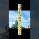 ※ディズニーランドに鳥の大群⚠️　スピリチュアルサインを見逃さないで⚠️　#Shorts