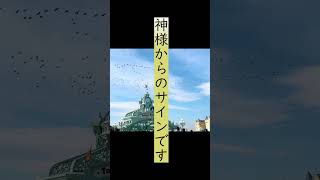 ※ディズニーランドに鳥の大群⚠️　スピリチュアルサインを見逃さないで⚠️　#Shorts