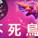 【スピリチュアル スクール 愛知】　すんごいエネルギー「不死鳥」を封入。生命力UP、不老不死を意図した効果で、魂や命の活性化へ。あなたのスピリチュアルの安定につながる。