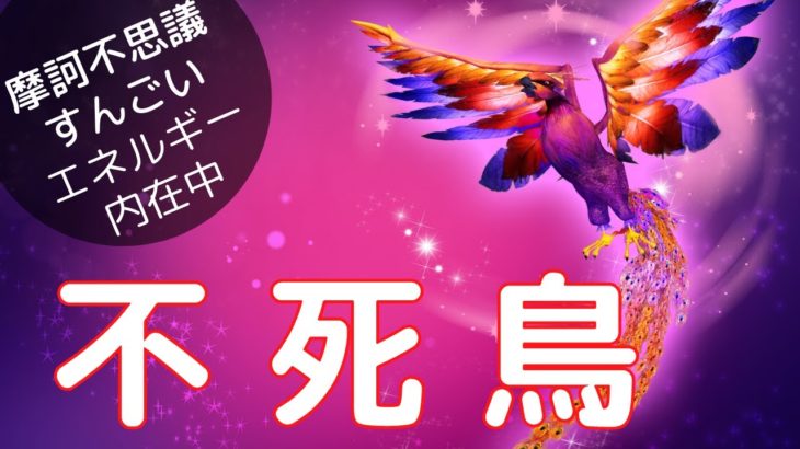 【スピリチュアル スクール 愛知】　すんごいエネルギー「不死鳥」を封入。生命力UP、不老不死を意図した効果で、魂や命の活性化へ。あなたのスピリチュアルの安定につながる。