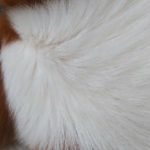 睡眠動画 Zzz 安眠 癒し 寝る