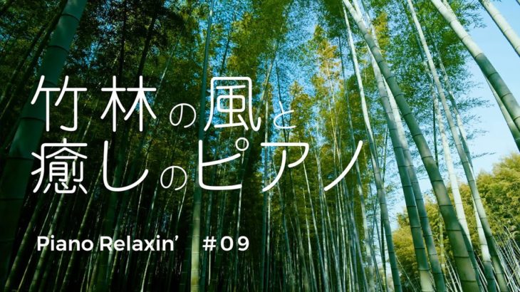【風の音・癒し音楽】竹林の風と癒しのピアノ｜ ヒーリングミュージック｜瞑想・睡眠・読書