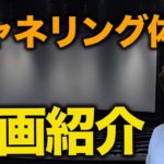 私が感じているチャネリングの世界を皆さんへ！！【スピリチュアルトーク】