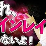 【スピリチュアル】ツインレイかな〜？悩んだ時にこの動画を見てチェックしてください！！