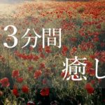 【３分間】癒しの音楽　睡眠導入　心を落ち着かせる