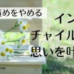 【インナーチャイルドの癒し誘導瞑想】インナーチャイルドの思いを叶える/自分責めをやめる