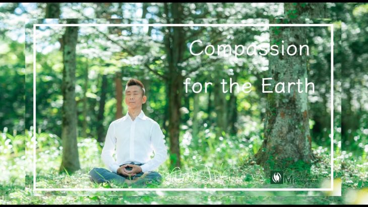 マインドフルネスとコンパッションの関係性