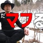 【マインドフルネスやってみた】今、ここに、全集中