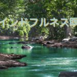 【寝たままできる】マインドフルネス瞑想