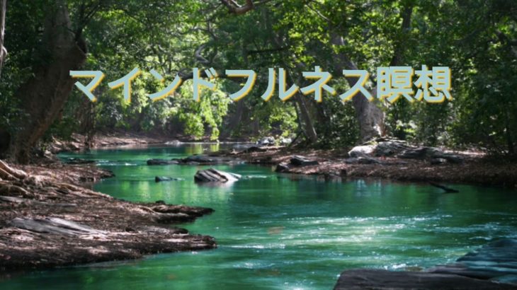 【寝たままできる】マインドフルネス瞑想