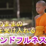 【マインドフルネス瞑想】ありのままの自分を受け入れる