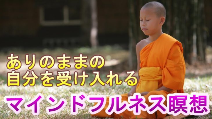【マインドフルネス瞑想】ありのままの自分を受け入れる