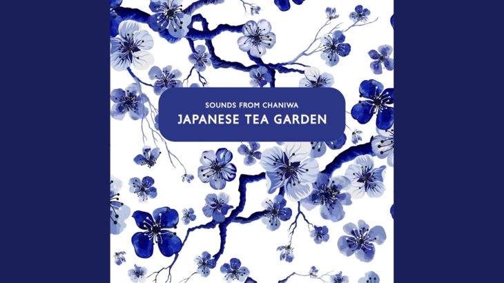 マインドフルネス