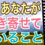 今、あなたが引き寄せていること‼️どんなことを引き寄せているのかな？🤔オラクルカードリーディング✨スピリチュアルカードリーディング✨占い✨３択✨