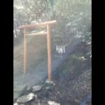 自信とは自らを信じること「スピリチュアルをビジネスに２６６」都　章の未来を読む力育成術