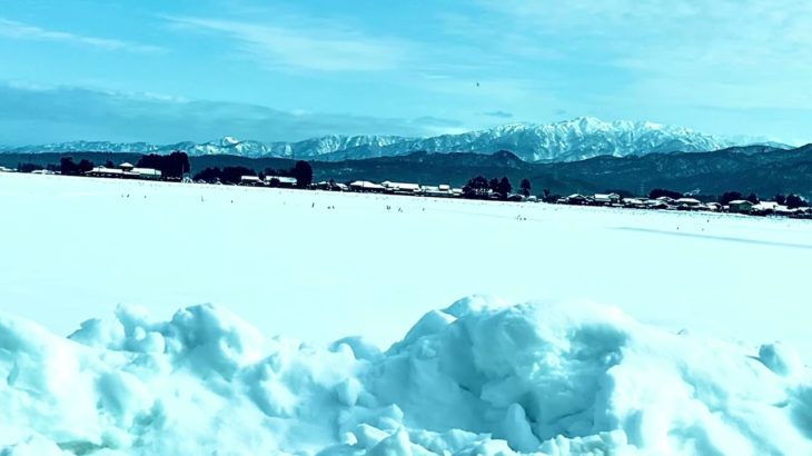 マインドフルネス〜追悼①