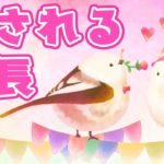 【スピリチュアル】モテる力、愛される力、精神的に安定する力【恋愛良縁成就、人間関係円満、睡眠促進、自己肯定感】