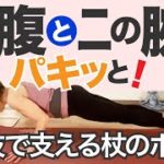 ヨガの杖のポーズ。ヨガプラで体幹と二の腕意識して動きましょう