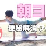 朝ヨガオンライン 便秘解消ワーク