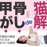 ヨガを使った「肩甲骨はがし」をヨガプラで説明します。