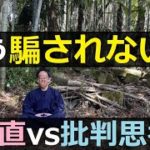【騙されない方法】恋愛、お金、スピリチュアル(騙されやすい人の特徴も)