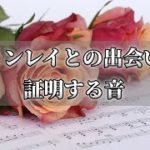 ツインレイとの出会いを証明する音…耳鳴りのスピリチュアルな意味とは？～スピリチュアル【チャンネルダイス】音声付き