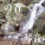 【聞くだけで癒し 流しっぱなし推奨】秘境琴音の滝｜聞き流すだけで心身が浄化されるパワースポット自然音【 グラウンディング リラックス 瞑想 癒し ヒーリング 熟睡眠】