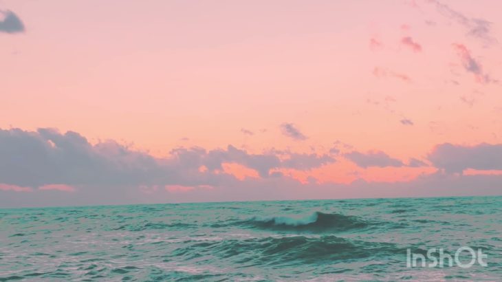 しあわせはじまる＊ホタホタマインドフルネス＊やすらぎの瞑想