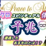 【スピリチュアル―予兆―】遭遇したあるものとは！？ミリクロ🌞🍀スピチュアル体験談🍀🐞🌈❗️予兆❗️貴方は気付きますか？