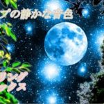 【ハープの静かな音色】癒し・睡眠・瞑想・ストレス解消【リラックス音楽】