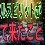 アニマルスピリットが伝えて来たこと‼️怖いほど当たる✨オラクルカードリーディング✨スピリチュアルカードリーディング✨占い✨３択✨