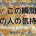 [スピリチュアルタロット占い]🔮今、この瞬間のあの人の気持ち✨🎍(年始はどんな風に過ごしてるの❔どんな気持ちでいるの❔）
