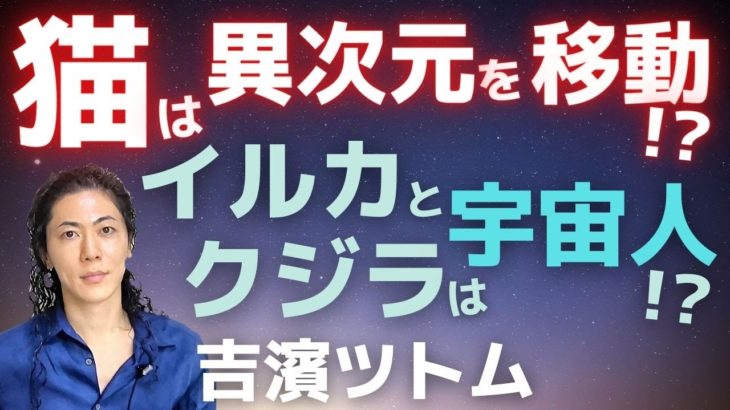 スピリチュアル～猫は異次元を意識的に移動する？高次元からのテレパシー！イルカやクジラは宇宙人！吉濱ツトム