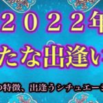２０２２年新たな出逢い💛ハワイのスピリチュアルタロット✨マナカードリーディング🌈