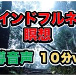 【マインドフルネス瞑想】毎日聞けば、悩みが消える！誘導音声 10分 鳥のさえずりVer.