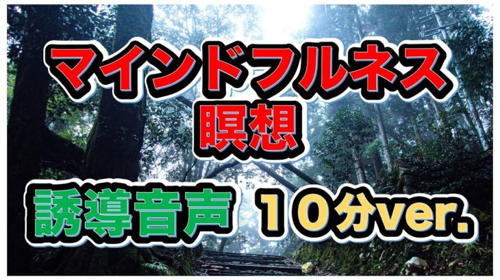 【マインドフルネス瞑想】毎日聞けば、悩みが消える！誘導音声 10分 鳥のさえずりVer.
