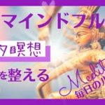 【マインドフルネス瞑想】10分　呼吸瞑想　サマタ瞑想　＃10