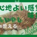 【誘導瞑想】10分　心地よい感覚を味わう瞑想　自分癒し瞑想　＃8