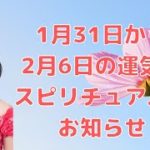 ハワイのスピリチュアルカウンセラーエリー／1月31日から2月6日の運気